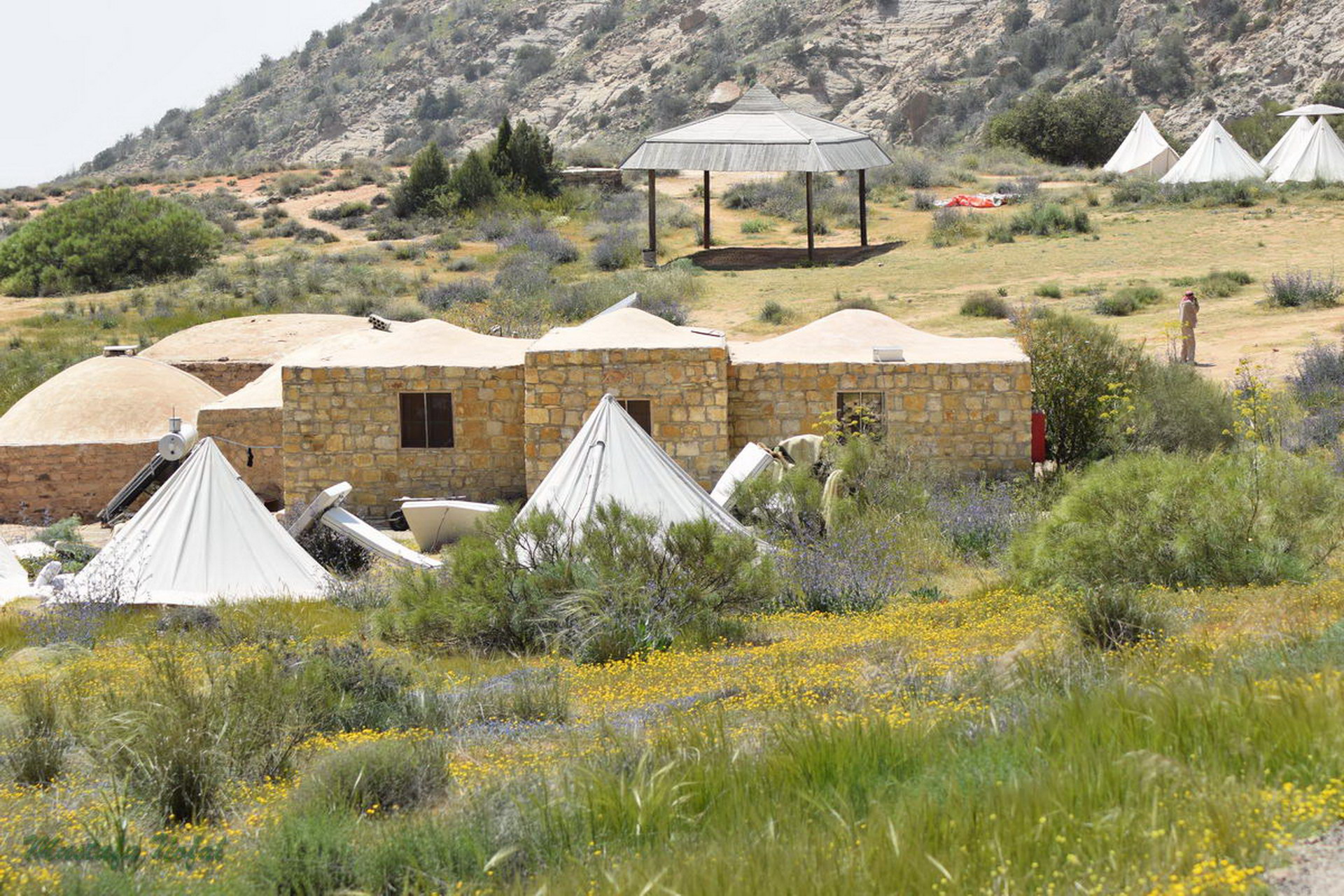 Dana feynan – highlights